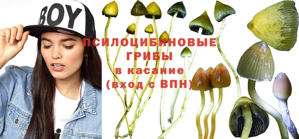 кристаллы Алексеевка