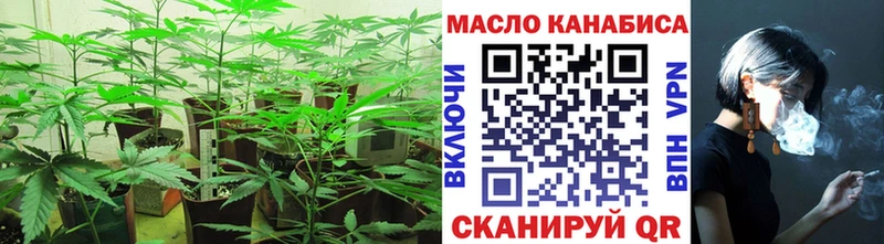 ТГК THC oil  ссылка на мегу ССЫЛКА  Чапаевск  купить наркоту 